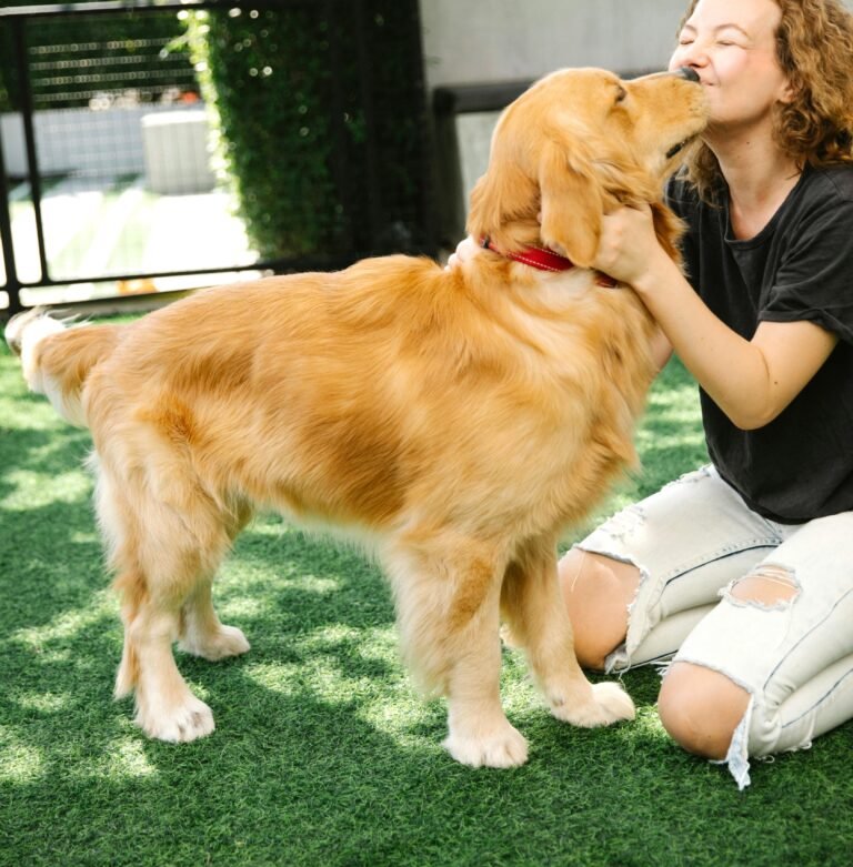 cute dog
